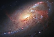 звезды, m106, hubble space telescope, спиральная галактика, Космос