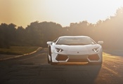 Lamborghini, aventador, road, lp700-4, ламборгини, sunset, white, авентадор
