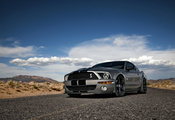 Ford, mustang, , shelby, muscle car, silvery, , , gt500