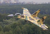Су-35, полет, лес, скорость