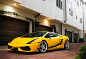 superleggera, , yellow, , gallardo, Lamborghini