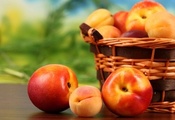 apricots, , , , fruit, , peaches