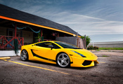 superleggera, Lamborghini, , , yellow, gallardo