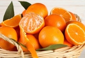 fruit, citrus, , oranges, , , 