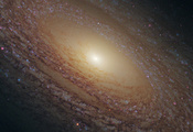 Ngc 2841, ,  