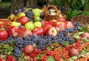 фрукты, ягоды, Калина, виноград, яблоки, сливы, груши