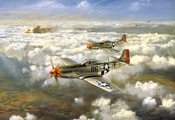 , north american p-51d-5 mustang, , 
