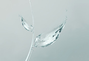 bubbles, , Leaf, , water, , , minimalism