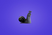 snail, , ,  , , turbo