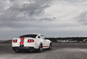 gt500, , Ford, ,  , , mustang, shelby, muscle car