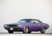  , muscle car, 1971, challenger, , Dodge, , 