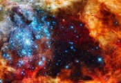 , , Nebula, 
