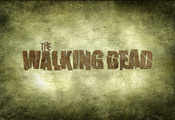 the walking dead, ,  