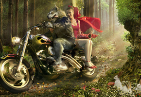 волк, лес дремучий, мотоцикл