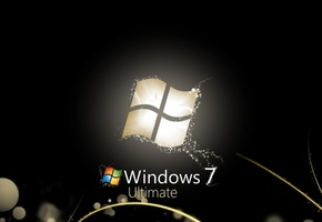 Windows seven 7, style, 3d, black, веточки