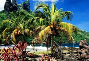 каменные статуи, пляжная зона, пальмовые ветви