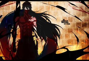 Bleach, kurosaki ichigo, 