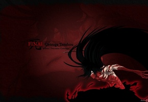 , ,  shinigami, ,  getsuga tenshou