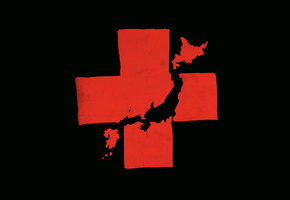 tsunami, red cross, Japan relief, humanitarian
