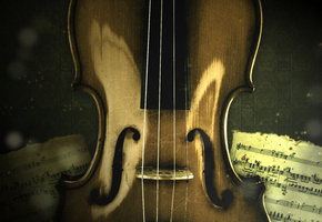 violin, , , , music, 