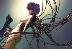 Ghost In The Shell, GITS,   , , , ,  9