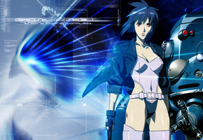 Ghost In The Shell, GITS,   , , ,  9, 