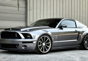 Ford, , mustang,  , , cobra, , shelby