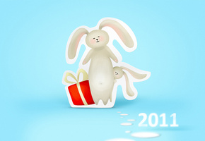 ,  , 2011, new year, 