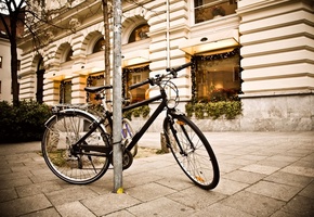 , street, , , , Bicycle