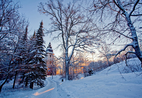 снег, свет, зима, деревья, церковь, Природа