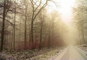 дорога, следы, снег, Зима, лес, деревья, иней