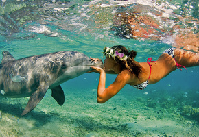 дельфин, море, природа, девушка, океан