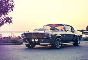 gt500e, ford, giannes kokkas photography, eleanor, mustang, shelby