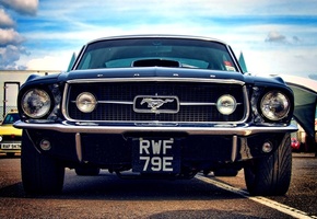 ford, car, , , , mustang, muscle