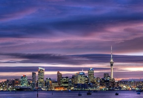 new zealand, skyscrapers, sky tower, harbour, city center, Auckland, , city, sky