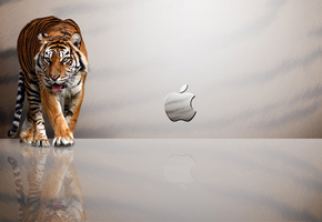 Apple, тигр, отражение