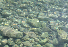 underwater stones distorte, камни, Текстура, textures, фон на рабочий