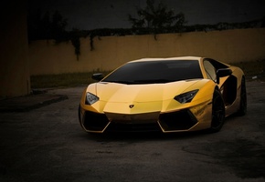, , , , gold, , aventador, Lamborghini