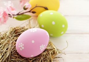 Easter, гнездо, желтые, пасха, розовые, яйца, пасхальные