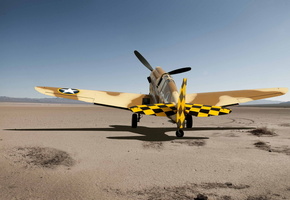 , Desert p-40, 