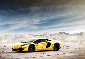 lp700-4, , project au79, lb834, aventador, chrome gold, Lamborghini