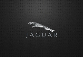 , , , jaguar