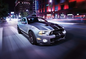 gt500, , , Ford, mustang, , shelby, 