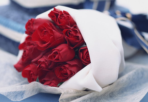 Букет, розы, нежность, ткань, красиво, roses, flowers
