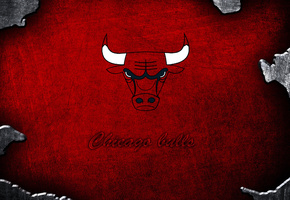 , , Chicago bulls