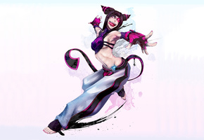 Street fighter, juri, ,  , 