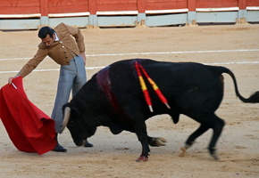 festival, fiesta, bull, spain, Toros
