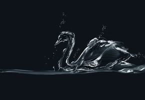 bubbles, , Swan, , , water, figure, minimalism