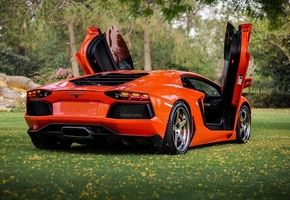 , orange, Lamborghini, lp700-4, , aventador