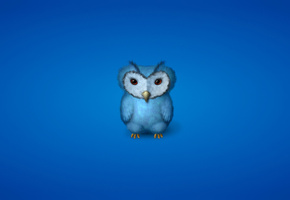 ,  , owl, , , 